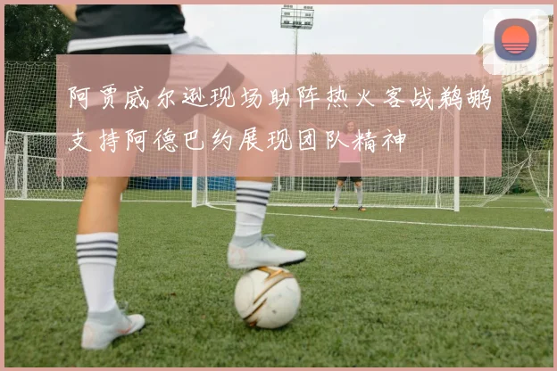 阿贾威尔逊现场助阵热火客战鹈鹕支持阿德巴约展现团队精神