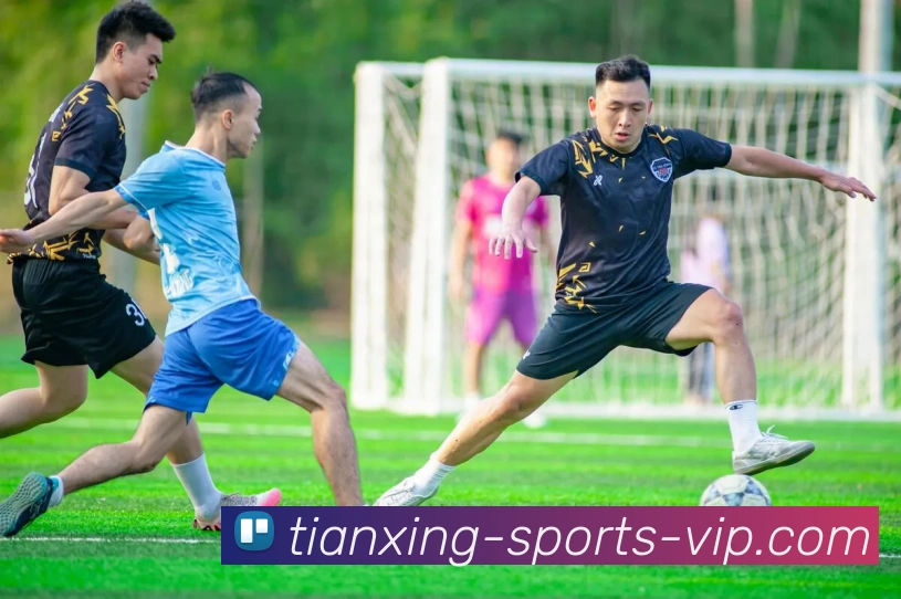 天行体育发展历程